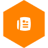Orange Icon