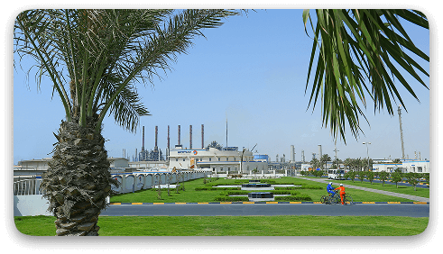 LLDPE production started and Qatofin Inauguration took place